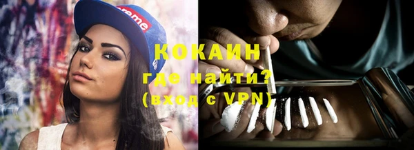 стафф Михайлов