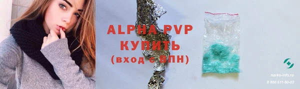 стафф Михайлов