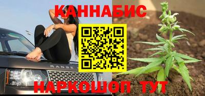 дмт Заводоуковск