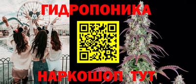 дмт Заводоуковск