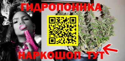 PSILOCYBIN Заволжье