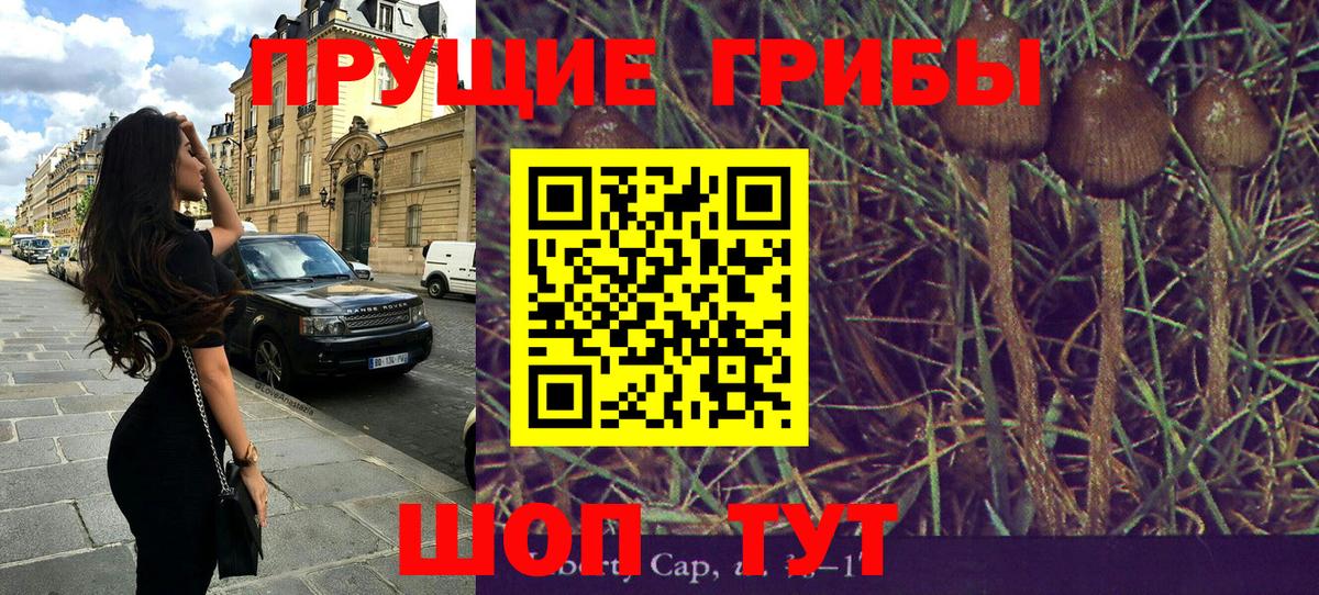 наркота  Вход с VPN  Галлюциногенные грибы мицелий  Фурманов  Псилоцибиновые грибы Psilocybine cubensis 
